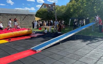 FEST im Sommer!